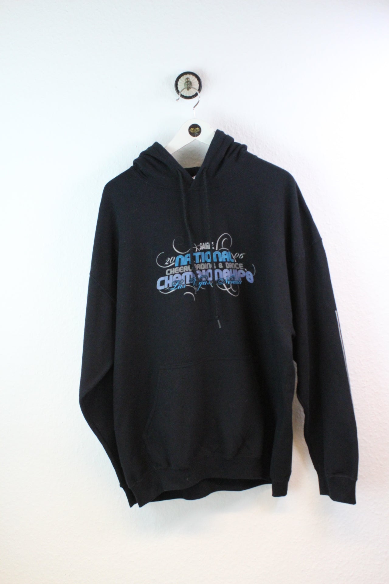 Vintage Jamz 2006 Hoodie (XL)
