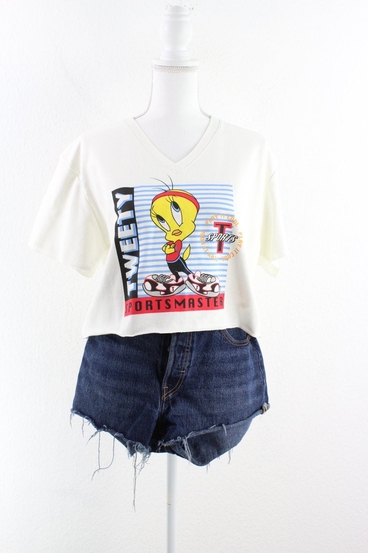 Vintage Looney Tunes T-Shirt Sweater (M) Vintage & Rags