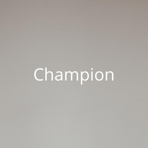 Vintage Champion