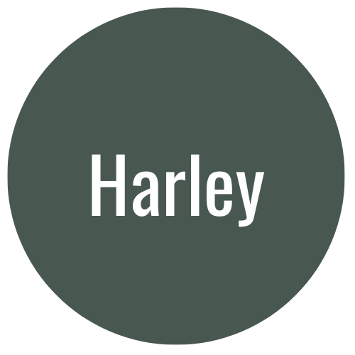 Harley Davidson Button