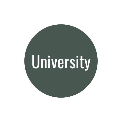 American University