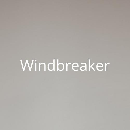 Men's Vintage Windbreakers