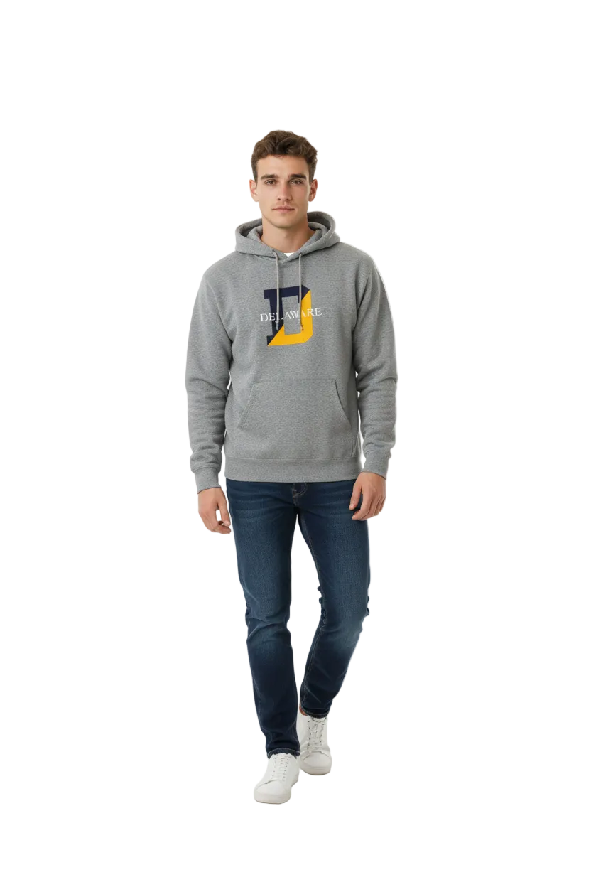 Vintage Delaware Hoodie (L)