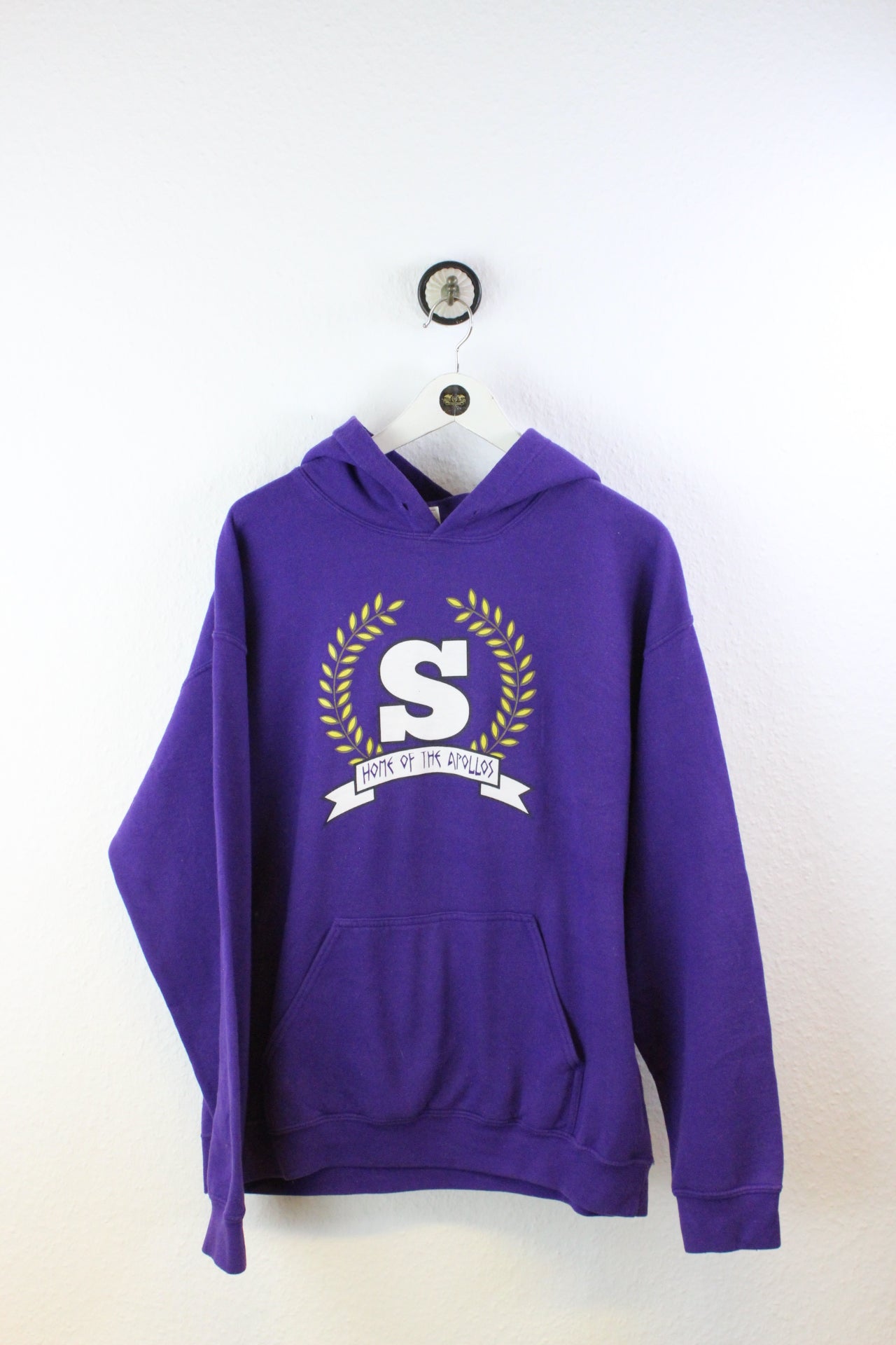 Vintage Home of Apollos Hoodie (L)