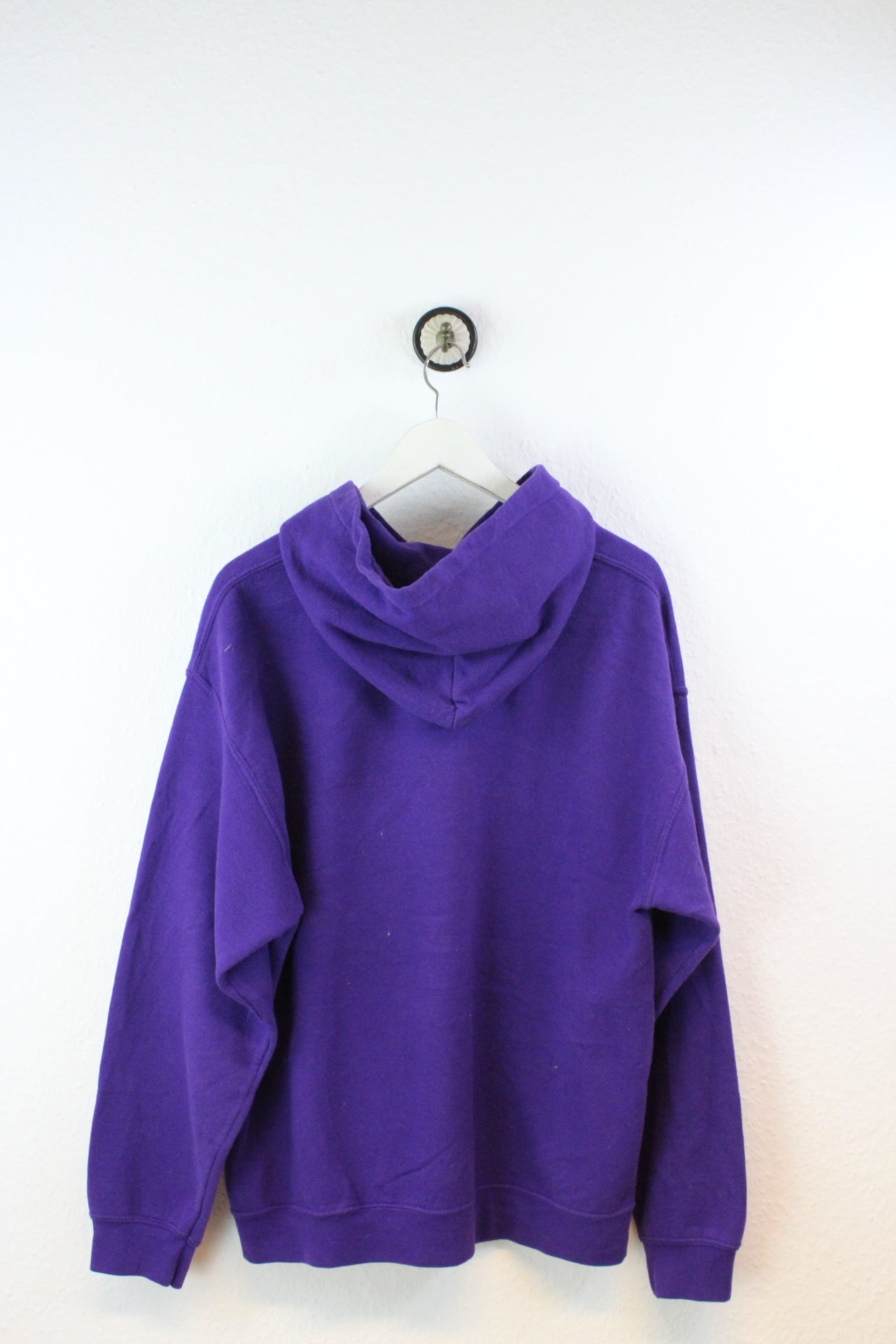 Vintage Home of Apollos Hoodie (L)