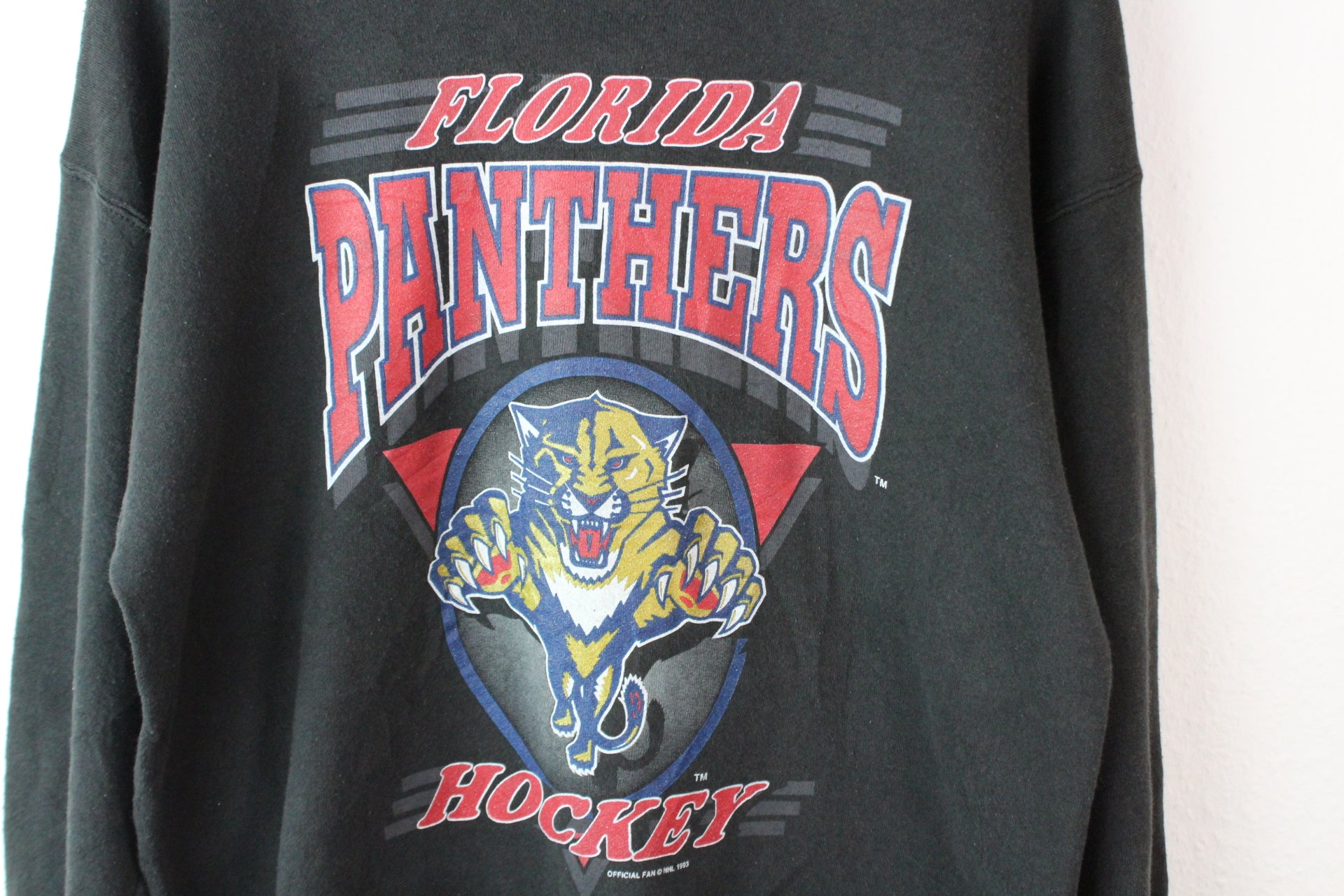 Vintage NHL 1993 Panthers Sweatshirt (L)