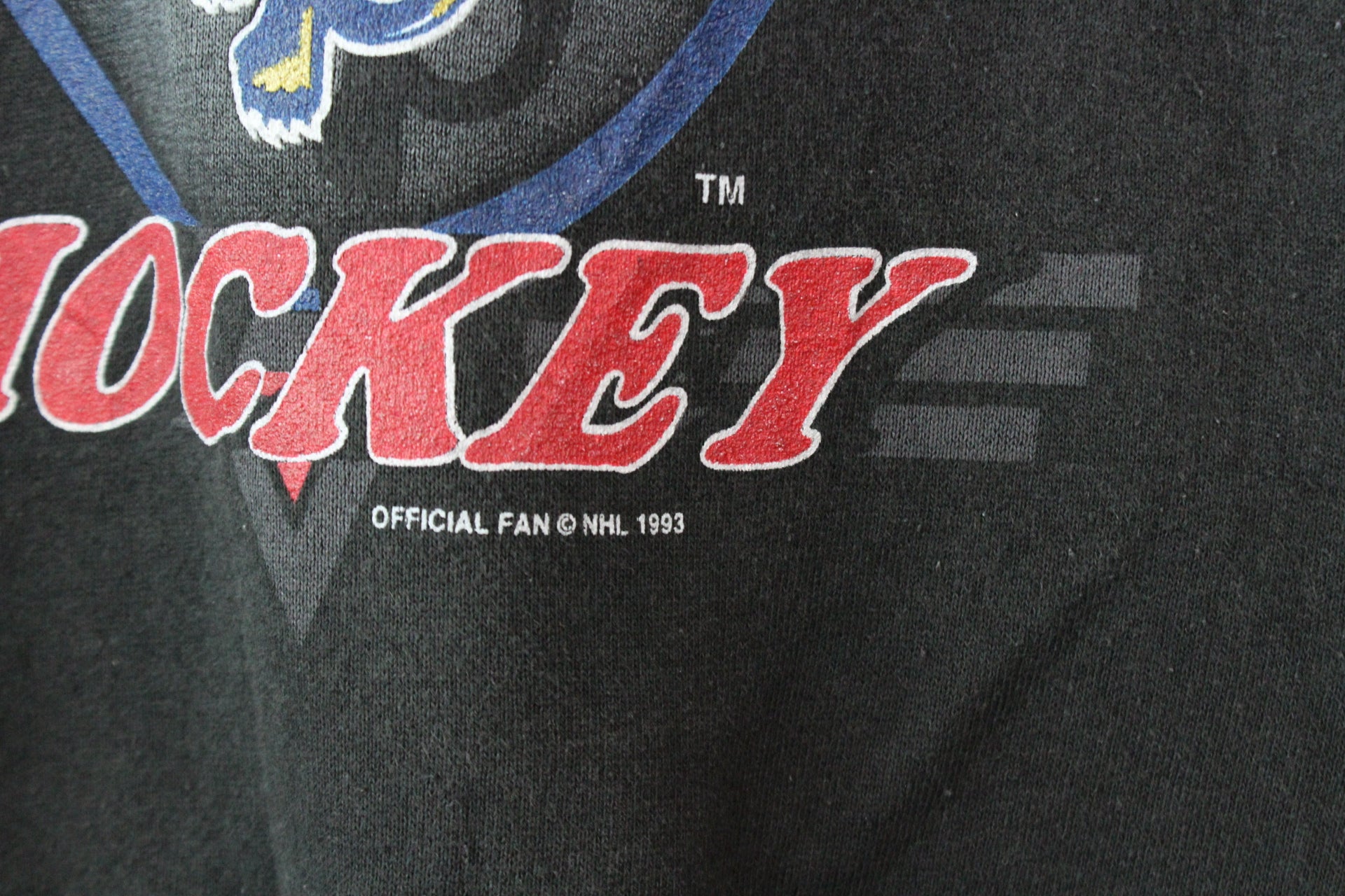 Vintage NHL 1993 Panthers Sweatshirt (L)