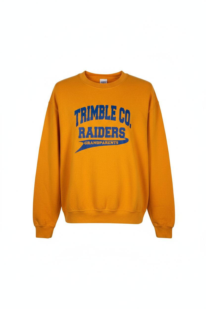 Vintage Raiders Sweatshirt (M)