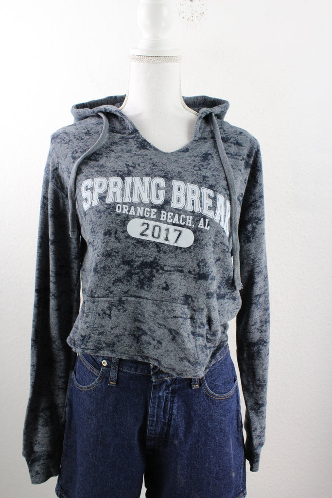 Vintage Spring Break Hoodie (S) - Vintage & Rags