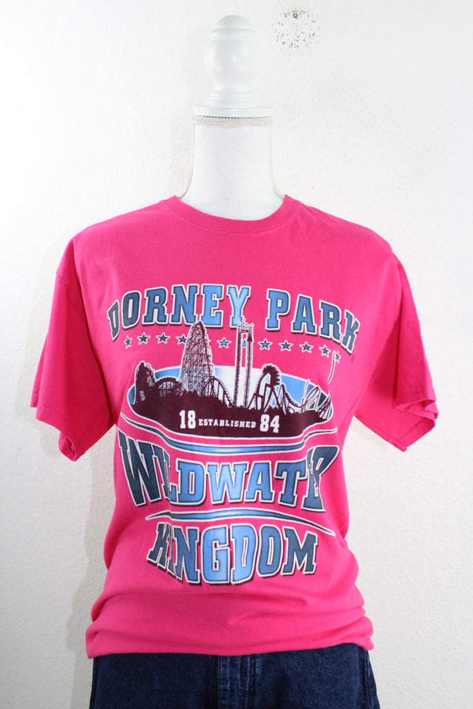 Vintage Dorney Park T-Shirt (M) - Vintage & Rags