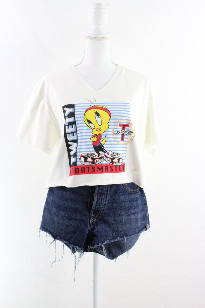 Vintage Looney Tunes T-Shirt Sweater (M) Vintage & Rags 